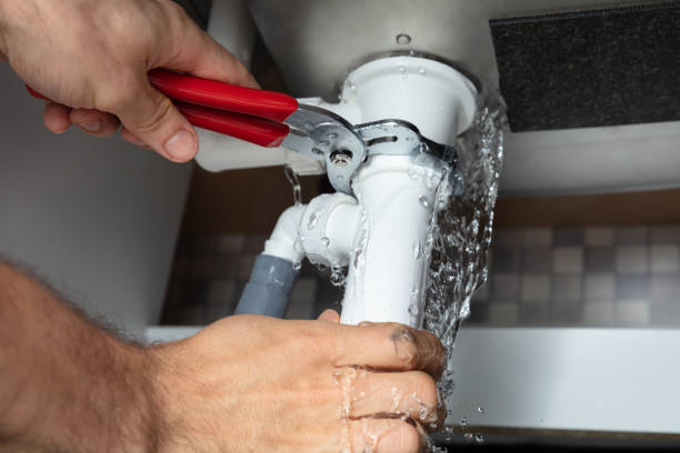 Best Mold removal after water damage  in Darby, PA