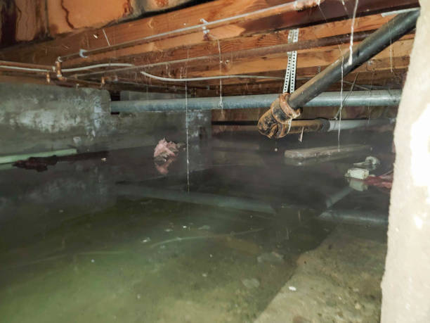 Best Sewage cleanup and water damage restoration  in Darby, PA
