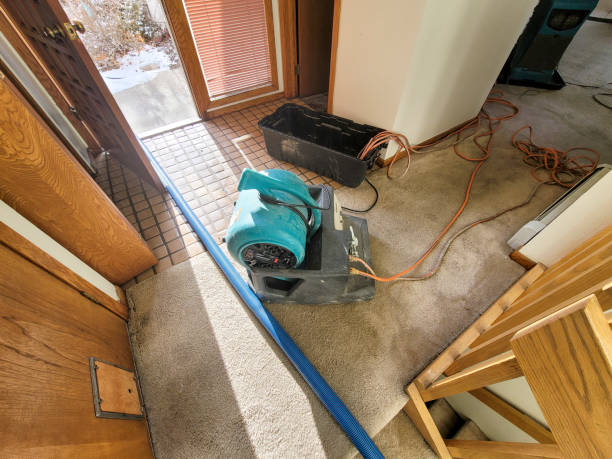 Best Professional water damage repair  in Darby, PA