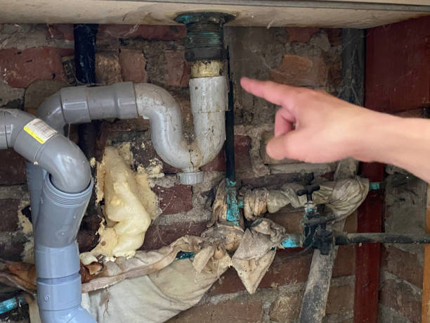 Best Water damage restoration near me  in Darby, PA
