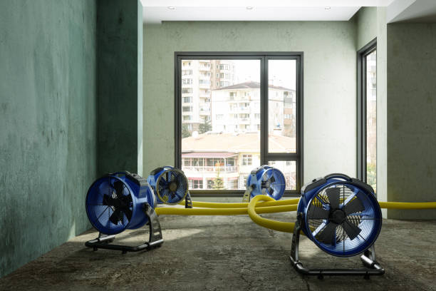 Best Flood restoration services  in Darby, PA