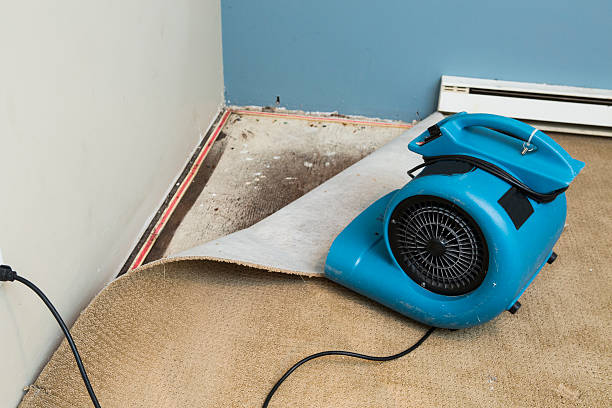 Best Commercial water damage restoration  in Darby, PA